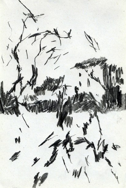 06_Dame aux oiseaux copie-1