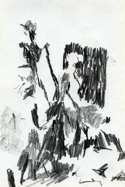 27_Maçonnes de Tiébélé copie