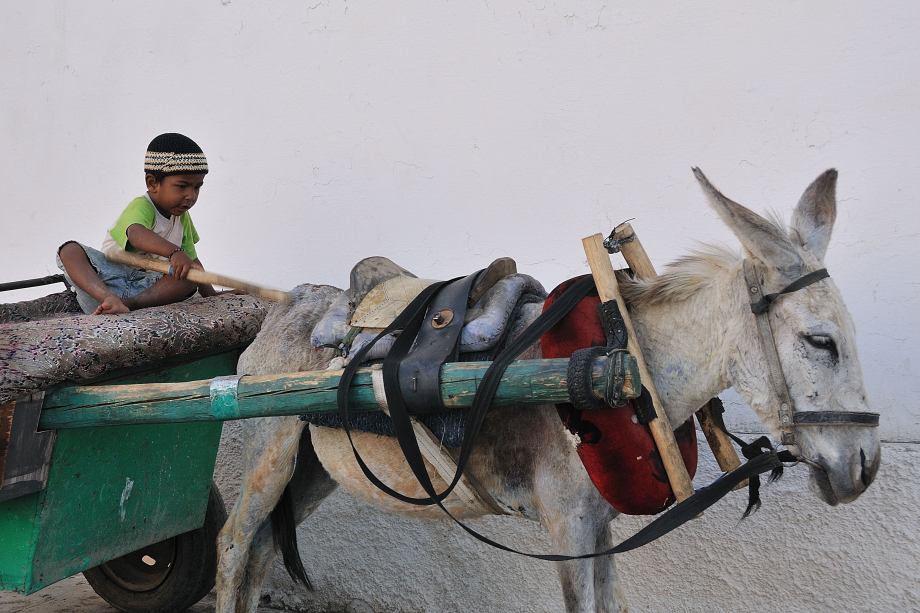 45 Chevaucher ses rêveries