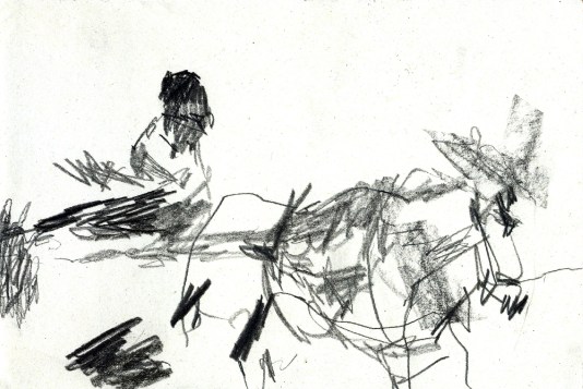 45_Chevaucher ses rêveries