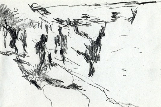 49_Saut de l'ange au bord du fleuve