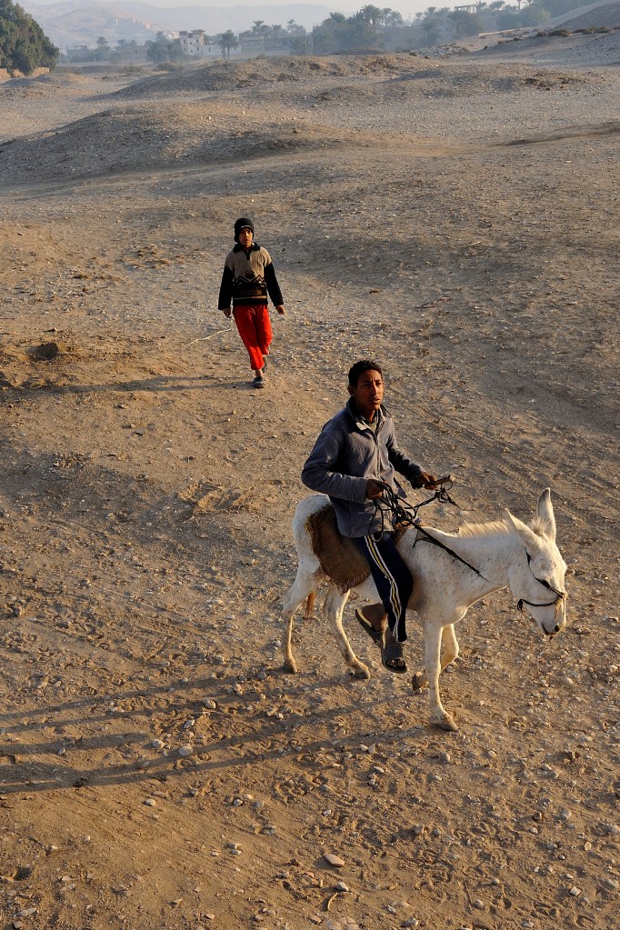 4 Egypte 2011 DSC_8162