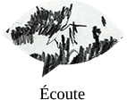 logo écoute actualités6