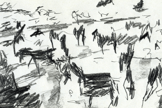 49_Le parking des ânes Sud Maroc