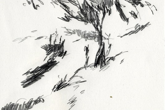 53 Chaumont Couleurs en Loire