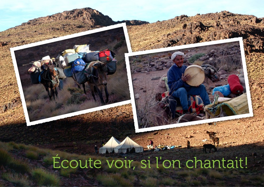 carte postale maroc version numérique RVB 15x20-01