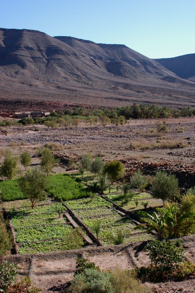 Maroc Trek 2004 Sélection - 279
